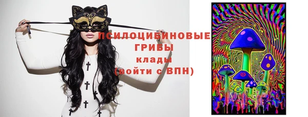 альфа пвп Бородино
