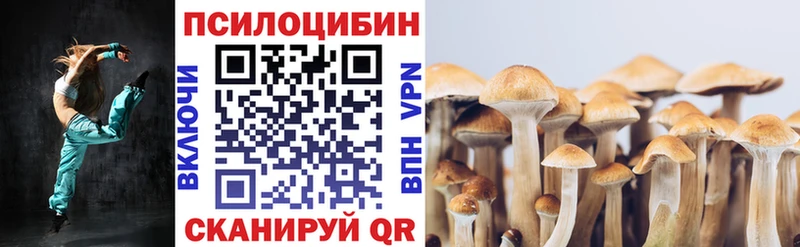 наркота  Навашино  OMG ONION  Галлюциногенные грибы мицелий 